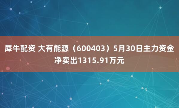 犀牛配资 大有能源（600403）5月30日主力资金净卖出1315.91万元