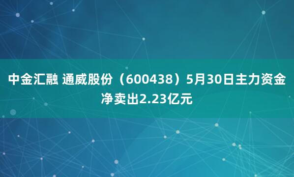 中金汇融 通威股份（600438）5月30日主力资金净卖出2.23亿元