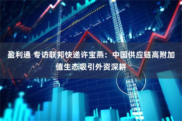 盈利通 专访联邦快递许宝燕：中国供应链高附加值生态吸引外资深耕