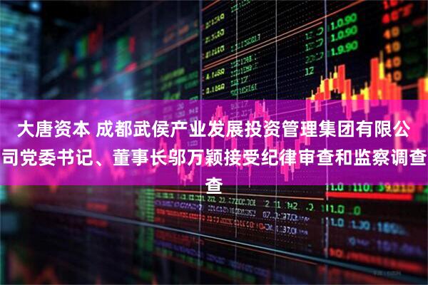 大唐资本 成都武侯产业发展投资管理集团有限公司党委书记、董事长邬万颖接受纪律审查和监察调查