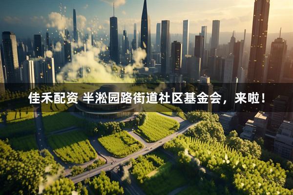 佳禾配资 半淞园路街道社区基金会，来啦！