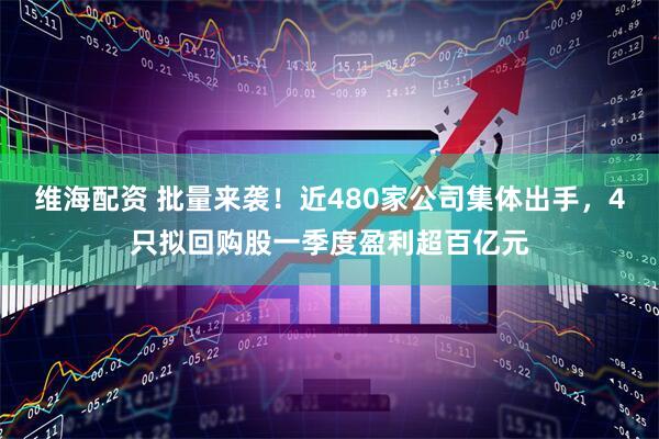维海配资 批量来袭！近480家公司集体出手，4只拟回购股一季度盈利超百亿元