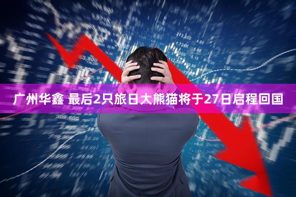 广州华鑫 最后2只旅日大熊猫将于27日启程回国