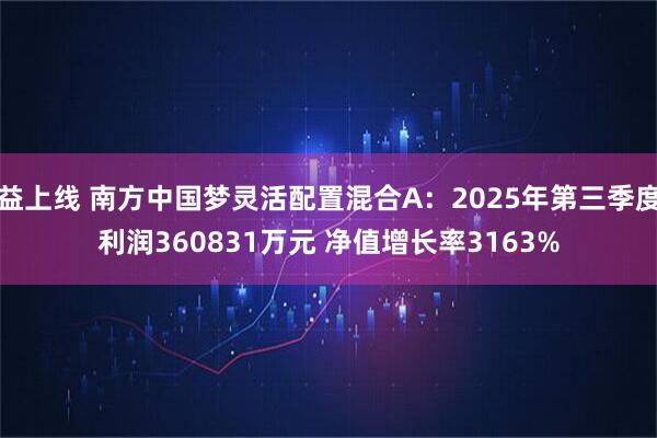 益上线 南方中国梦灵活配置混合A：2025年第三季度利润360831万元 净值增长率3163%