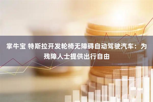 掌牛宝 特斯拉开发轮椅无障碍自动驾驶汽车：为残障人士提供出行自由